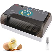 Incubadora Automática de 12 Huevos con Pantalla Digital- Iluminación LED- Giro Automático de Huevos- Control Eficiente e…